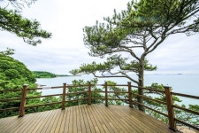 별별여행 > 십리포숲마루길 | 별별시장&별별여행 ┃ 여행문화의 새로운 트렌드를 만들다 별별여행 > 십리포숲마루길