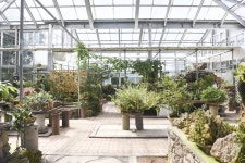 별별여행 > 방림원 | 별별시장&별별여행 ┃ 여행문화의 새로운 트렌드를 만들다 별별여행 > 방림원