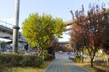 별별여행 > 방배사이길 | 별별시장&별별여행 ┃ 여행문화의 새로운 트렌드를 만들다 별별여행 > 방배사이길