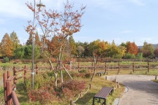 별별여행 > 둔산공원 | 별별시장&별별여행 ┃ 여행문화의 새로운 트렌드를 만들다 별별여행 > 둔산공원