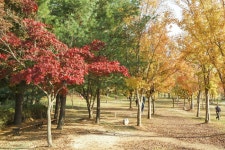 별별여행 > 둔산공원 | 별별시장&별별여행 ┃ 여행문화의 새로운 트렌드를 만들다 별별여행 > 둔산공원