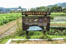 별별여행 > 내동마을연꽃단지 | 별별시장&별별여행 ┃ 여행문화의 새로운 트렌드를 만들다 별별여행 > 내동마을연꽃단지