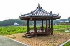 별별여행 > 내동마을연꽃단지 | 별별시장&별별여행 ┃ 여행문화의 새로운 트렌드를 만들다 별별여행 > 내동마을연꽃단지