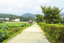 별별여행 > 내동마을연꽃단지 | 별별시장&별별여행 ┃ 여행문화의 새로운 트렌드를 만들다 별별여행 > 내동마을연꽃단지