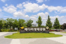 별별여행 > 배다리생태공원 | 별별시장&별별여행 ┃ 여행문화의 새로운 트렌드를 만들다 별별여행 > 배다리생태공원