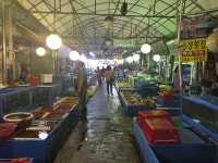 별별골목 > 마산어시장횟집골목 | 별별시장&별별여행 ┃ 여행문화의 새로운 트렌드를 만들다 별별골목 > 마산어시장횟집골목