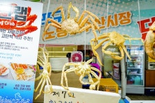 전국별별시장 > 영종관광어시장 | 별별시장&별별여행 ┃ 여행문화의 새로운 트렌드를 만들다 전국별별시장 > 영종관광어시장