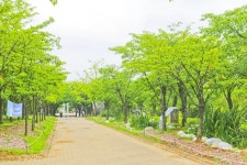 별별여행 > 중앙공원 | 별별시장&별별여행 ┃ 여행문화의 새로운 트렌드를 만들다 별별여행 > 중앙공원