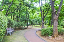 별별여행 > 중앙공원 | 별별시장&별별여행 ┃ 여행문화의 새로운 트렌드를 만들다 별별여행 > 중앙공원