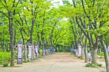 별별여행 > 중앙공원 | 별별시장&별별여행 ┃ 여행문화의 새로운 트렌드를 만들다 별별여행 > 중앙공원