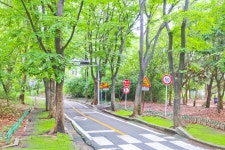 별별여행 > 중앙공원 | 별별시장&별별여행 ┃ 여행문화의 새로운 트렌드를 만들다 별별여행 > 중앙공원