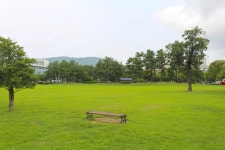 별별여행 > 봉황대공원 | 별별시장&별별여행 ┃ 여행문화의 새로운 트렌드를 만들다 별별여행 > 봉황대공원