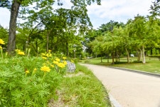 별별여행 > 간데메공원 | 별별시장&별별여행 ┃ 여행문화의 새로운 트렌드를 만들다 별별여행 > 간데메공원