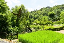 별별여행 > 아차산생태공원 | 별별시장&별별여행 ┃ 여행문화의 새로운 트렌드를 만들다 별별여행 > 아차산생태공원