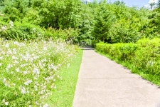 별별여행 > 아차산생태공원 | 별별시장&별별여행 ┃ 여행문화의 새로운 트렌드를 만들다 별별여행 > 아차산생태공원