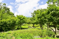 별별여행 > 아차산생태공원 | 별별시장&별별여행 ┃ 여행문화의 새로운 트렌드를 만들다 별별여행 > 아차산생태공원