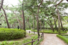 별별여행 > 솔밭근린공원 | 별별시장&별별여행 ┃ 여행문화의 새로운 트렌드를 만들다 별별여행 > 솔밭근린공원