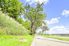 별별여행 > 살곶이체육공원 | 별별시장&별별여행 ┃ 여행문화의 새로운 트렌드를 만들다 별별여행 > 살곶이체육공원