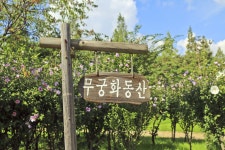 별별여행 > 부평공원 | 별별시장&별별여행 ┃ 여행문화의 새로운 트렌드를 만들다 별별여행 > 부평공원
