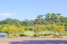 별별여행 > 안산호수공원 | 별별시장&별별여행 ┃ 여행문화의 새로운 트렌드를 만들다 별별여행 > 안산호수공원