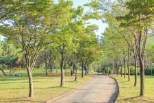 별별여행 > 안산호수공원 | 별별시장&별별여행 ┃ 여행문화의 새로운 트렌드를 만들다 별별여행 > 안산호수공원