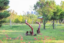 별별여행 > 안산호수공원 | 별별시장&별별여행 ┃ 여행문화의 새로운 트렌드를 만들다 별별여행 > 안산호수공원