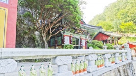 별별여행 > 일붕사 | 별별시장&별별여행 ┃ 여행문화의 새로운 트렌드를 만들다 별별여행 > 일붕사