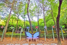 별별여행 > 인천나비공원 | 별별시장&별별여행 ┃ 여행문화의 새로운 트렌드를 만들다 별별여행 > 인천나비공원