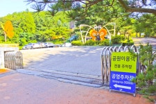 별별여행 > 인천나비공원 | 별별시장&별별여행 ┃ 여행문화의 새로운 트렌드를 만들다 별별여행 > 인천나비공원