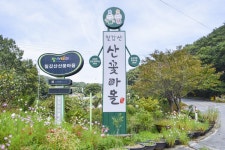 별별여행 > 칠갑산산꽃마을 | 별별시장&별별여행 ┃ 여행문화의 새로운 트렌드를 만들다 별별여행 > 칠갑산산꽃마을