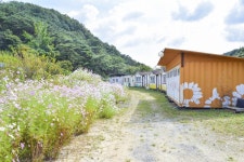별별여행 > 칠갑산산꽃마을 | 별별시장&별별여행 ┃ 여행문화의 새로운 트렌드를 만들다 별별여행 > 칠갑산산꽃마을