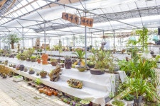 별별여행 > 칠갑산산꽃마을 | 별별시장&별별여행 ┃ 여행문화의 새로운 트렌드를 만들다 별별여행 > 칠갑산산꽃마을