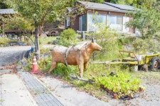 별별여행 > 칠갑산산꽃마을 | 별별시장&별별여행 ┃ 여행문화의 새로운 트렌드를 만들다 별별여행 > 칠갑산산꽃마을