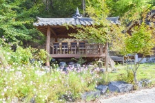 별별여행 > 칠갑산산꽃마을 | 별별시장&별별여행 ┃ 여행문화의 새로운 트렌드를 만들다 별별여행 > 칠갑산산꽃마을