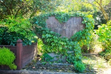 별별여행 > 한택식물원 | 별별시장&별별여행 ┃ 여행문화의 새로운 트렌드를 만들다 별별여행 > 한택식물원