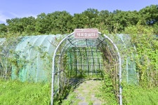 별별여행 > 덕포진 | 별별시장&별별여행 ┃ 여행문화의 새로운 트렌드를 만들다 별별여행 > 덕포진