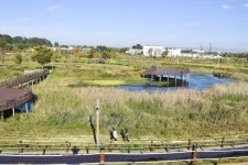 별별여행 > 유천생태습지공원 | 별별시장&별별여행 ┃ 여행문화의 새로운 트렌드를 만들다 별별여행 > 유천생태습지공원