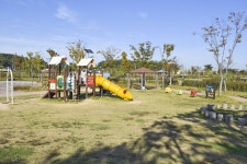 별별여행 > 유천생태습지공원 | 별별시장&별별여행 ┃ 여행문화의 새로운 트렌드를 만들다 별별여행 > 유천생태습지공원