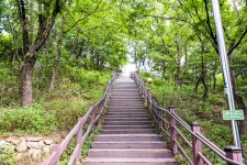 별별여행 > 답십리공원 | 별별시장&별별여행 ┃ 여행문화의 새로운 트렌드를 만들다 별별여행 > 답십리공원