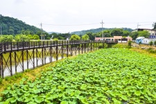 별별여행 > 고복저수지 | 별별시장&별별여행 ┃ 여행문화의 새로운 트렌드를 만들다 별별여행 > 고복저수지