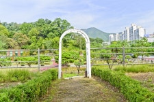 별별여행 > 철쭉동산 | 별별시장&별별여행 ┃ 여행문화의 새로운 트렌드를 만들다 별별여행 > 철쭉동산