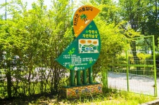 별별여행 > 창원가로수길 | 별별시장&별별여행 ┃ 여행문화의 새로운 트렌드를 만들다 별별여행 > 창원가로수길