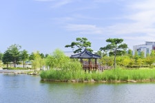 별별여행 > 한강신도시호수공원 | 별별시장&별별여행 ┃ 여행문화의 새로운 트렌드를 만들다 별별여행 > 한강신도시호수공원