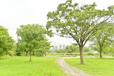 별별여행 > 이촌한강공원 | 별별시장&별별여행 ┃ 여행문화의 새로운 트렌드를 만들다 별별여행 > 이촌한강공원