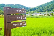 별별여행 > 인량전통테마마을 | 별별시장&별별여행 ┃ 여행문화의 새로운 트렌드를 만들다 별별여행 > 인량전통테마마을