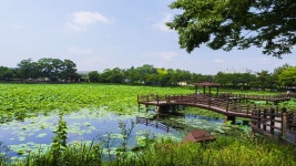 별별여행 > 강주연못 | 별별시장&별별여행 ┃ 여행문화의 새로운 트렌드를 만들다 별별여행 > 강주연못