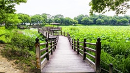 별별여행 > 강주연못 | 별별시장&별별여행 ┃ 여행문화의 새로운 트렌드를 만들다 별별여행 > 강주연못