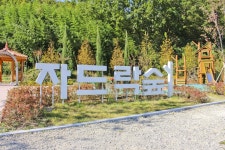 별별여행 > 자드락숲 | 별별시장&별별여행 ┃ 여행문화의 새로운 트렌드를 만들다 별별여행 > 자드락숲