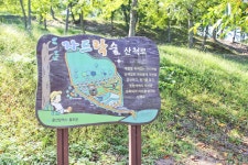 별별여행 > 자드락숲 | 별별시장&별별여행 ┃ 여행문화의 새로운 트렌드를 만들다 별별여행 > 자드락숲