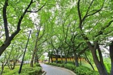 별별여행 > 화도진공원 | 별별시장&별별여행 ┃ 여행문화의 새로운 트렌드를 만들다 별별여행 > 화도진공원